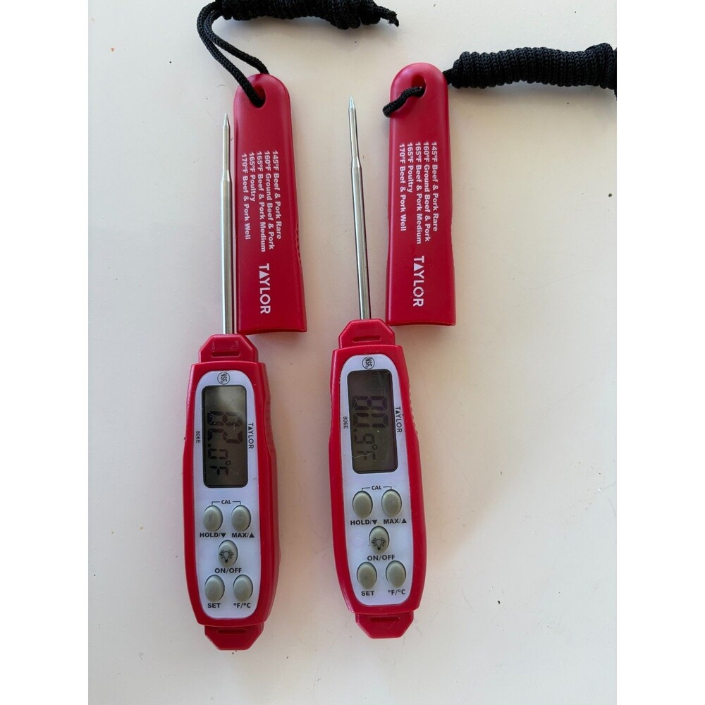 Set of 2 Taylor Digital Waterproof Meat Thermometers with Backlight